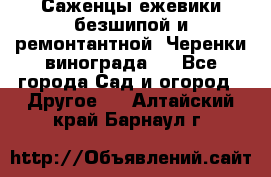 Саженцы ежевики безшипой и ремонтантной. Черенки винограда . - Все города Сад и огород » Другое   . Алтайский край,Барнаул г.